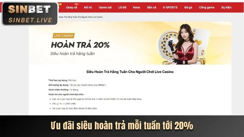 Tham gia VIP g6bet win ngay hôm nay